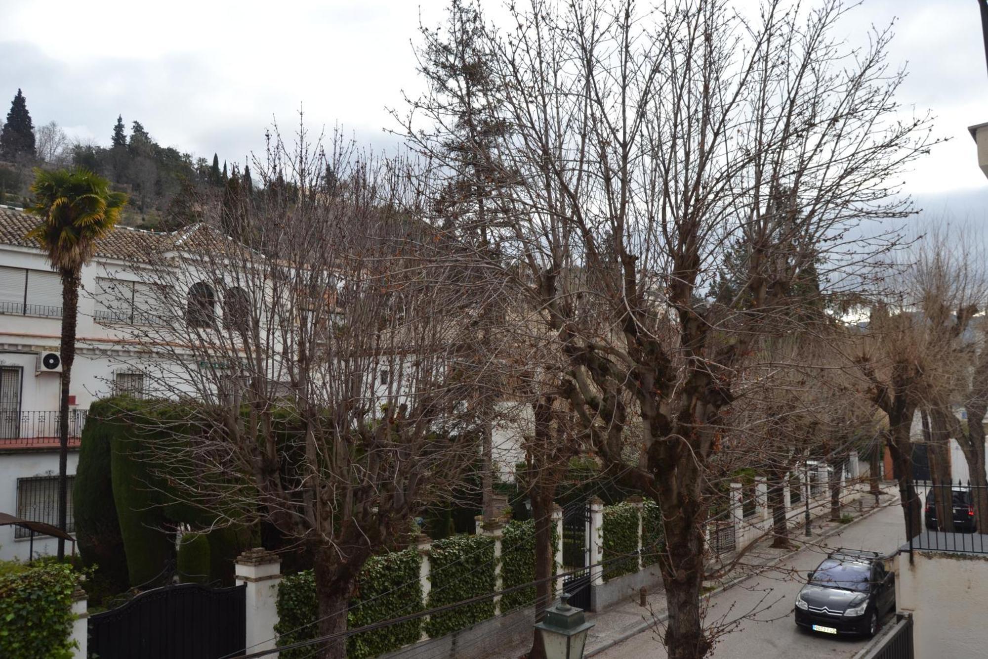 Appartamento Carmen Del Cadi Granada Esterno foto